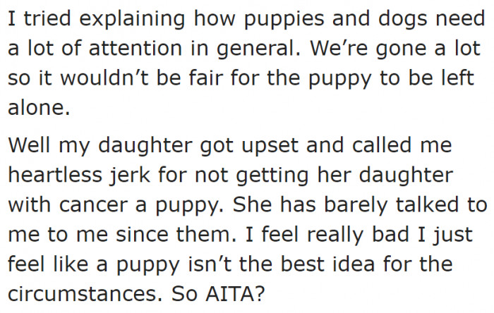 But the OP had to refuse because she knew that dogs are a big responsibility.