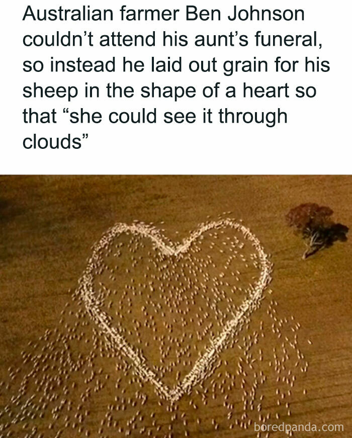 9. How can anyone not cry at this one?