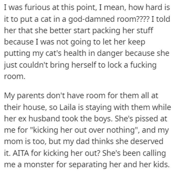 OP was furious, so she kicked her sister and her boys out of her house