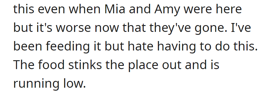 The cat's disruptive behavior worsened post-Mia and Amy. Reluctantly feeding it, OP faces a low supply and dislikes the smell.