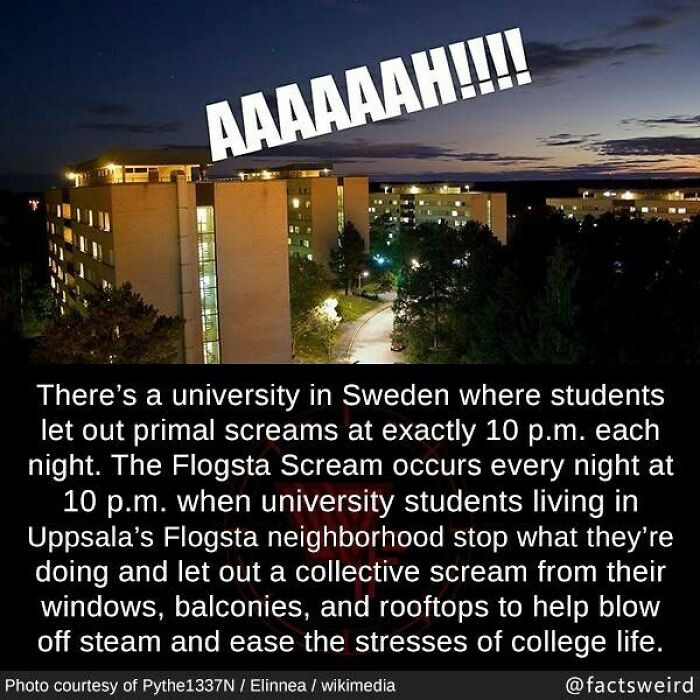13. Students at a Swedish university have a nightly scream session