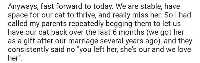 OP has been begging their parents to let them have their cat back. But their parents have refused to budge