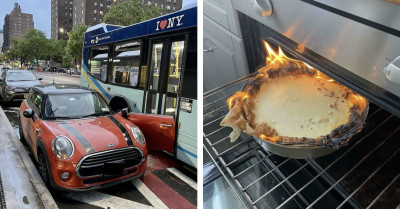45 "What Could Go Wrong?" Moments That Went Completely, Gloriously Wrong