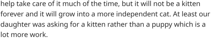 The kitten will grow up and demand less care