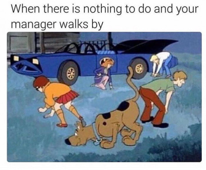 43. Quick, look busy