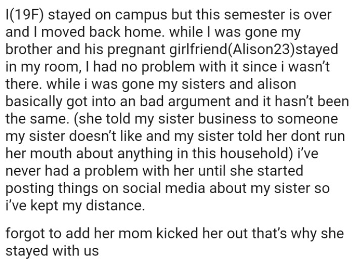 OP Has Never Had a Problem with Her Until She Started Posting Things on Social Media About the Family