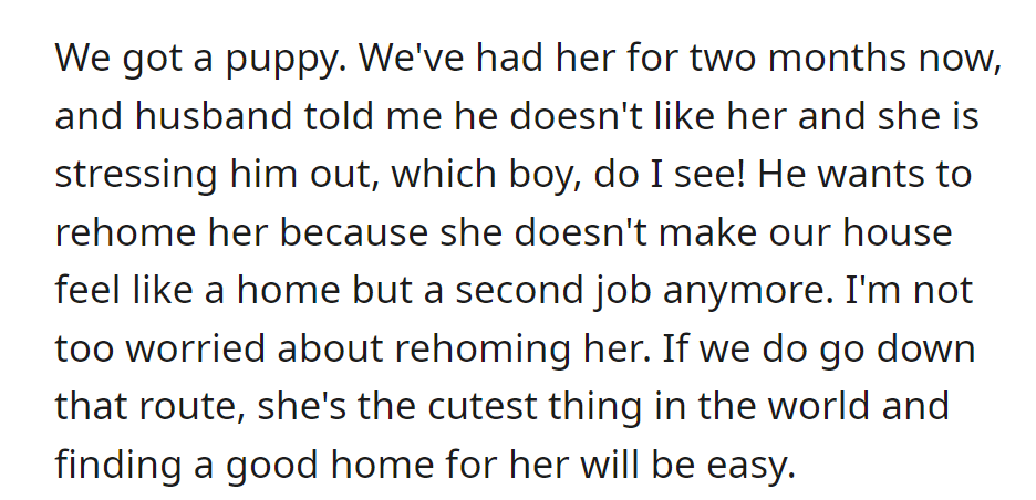 When they got a puppy, OP's husband finds her stressful, and wants to rehome her. OP isn't worried; finding her a good home would be easy.