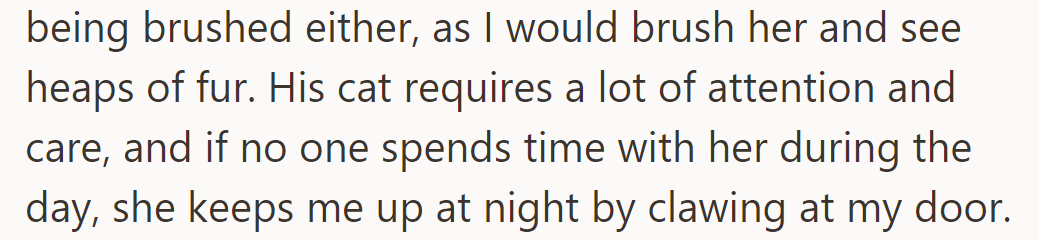 The cat was not brushed regularly and required attention. There were night disturbances for OP due to a lack of daytime interaction.