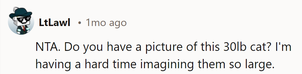 Any chance of a snapshot of this 30-pound fluffball? It's hard to picture them that big.