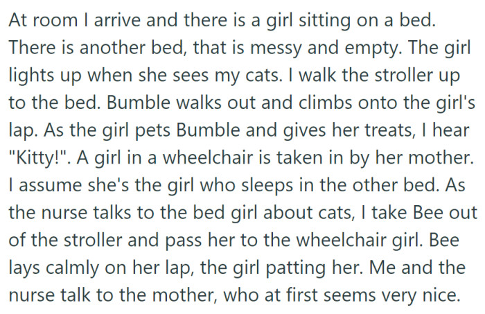 In a hospital room, her therapy cats Bumble and Bee brought joy to two girls, one in a bed and the other in a wheelchair, as they and the nurse engaged in a conversation with the mother.