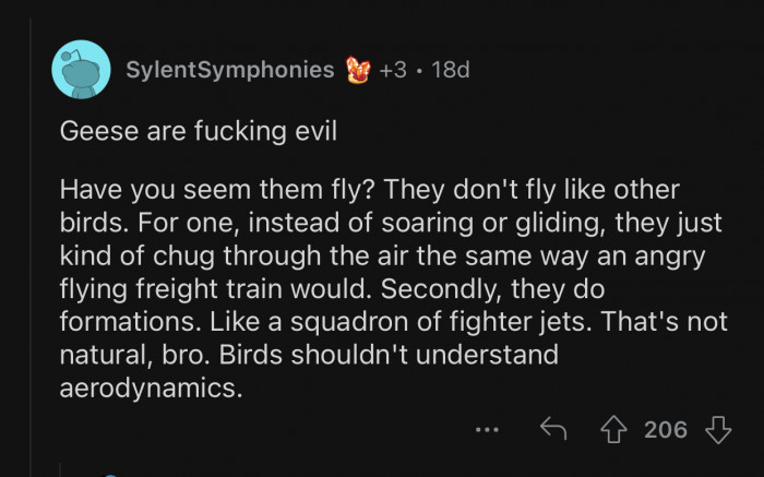 Geese don't fly like other birds.