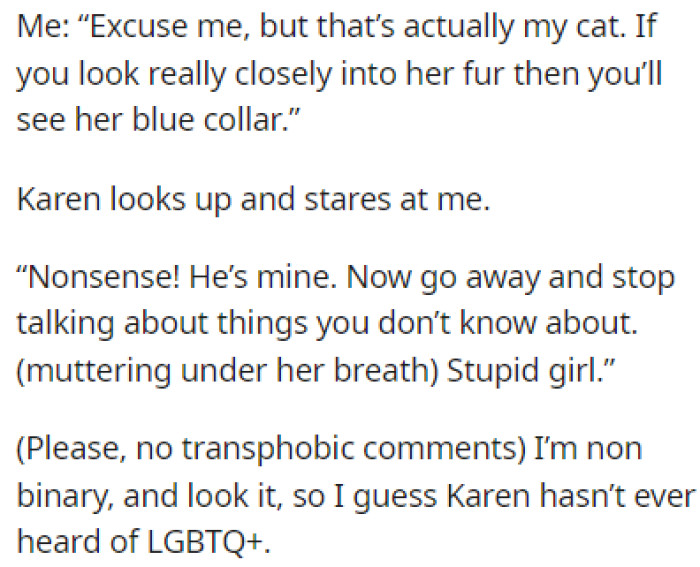 OP rushed out of her house and told Karen that Daisy was their cat