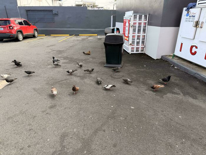 "The supervisor is on duty."