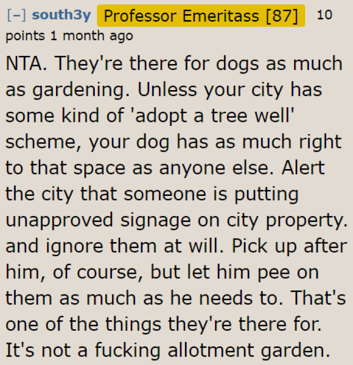 The OP might want to tell city authorities about what their neighbor is doing.