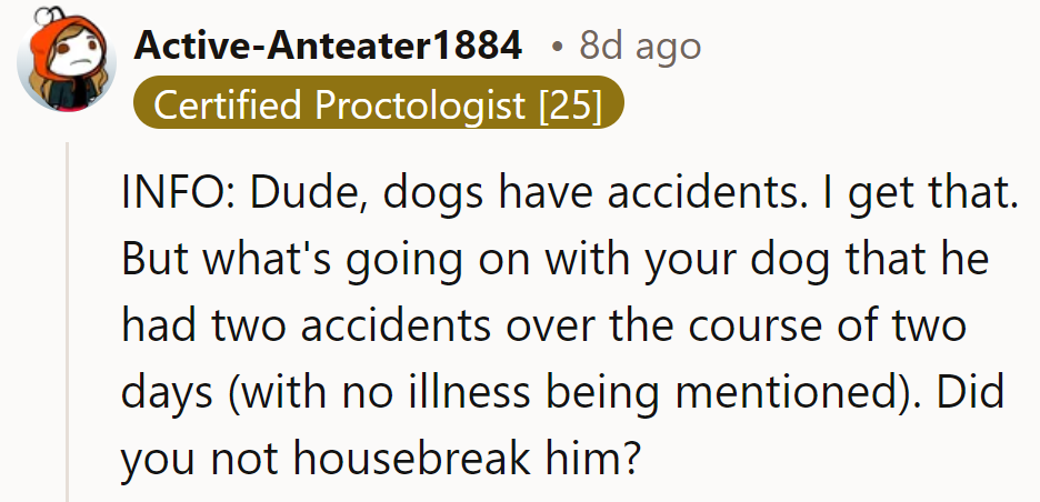 Dogs have accidents, sure. But two in two days? Sounds like a housebreaking issue.