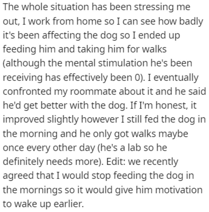 OP was forced to step up and start taking care of the dog more than before
