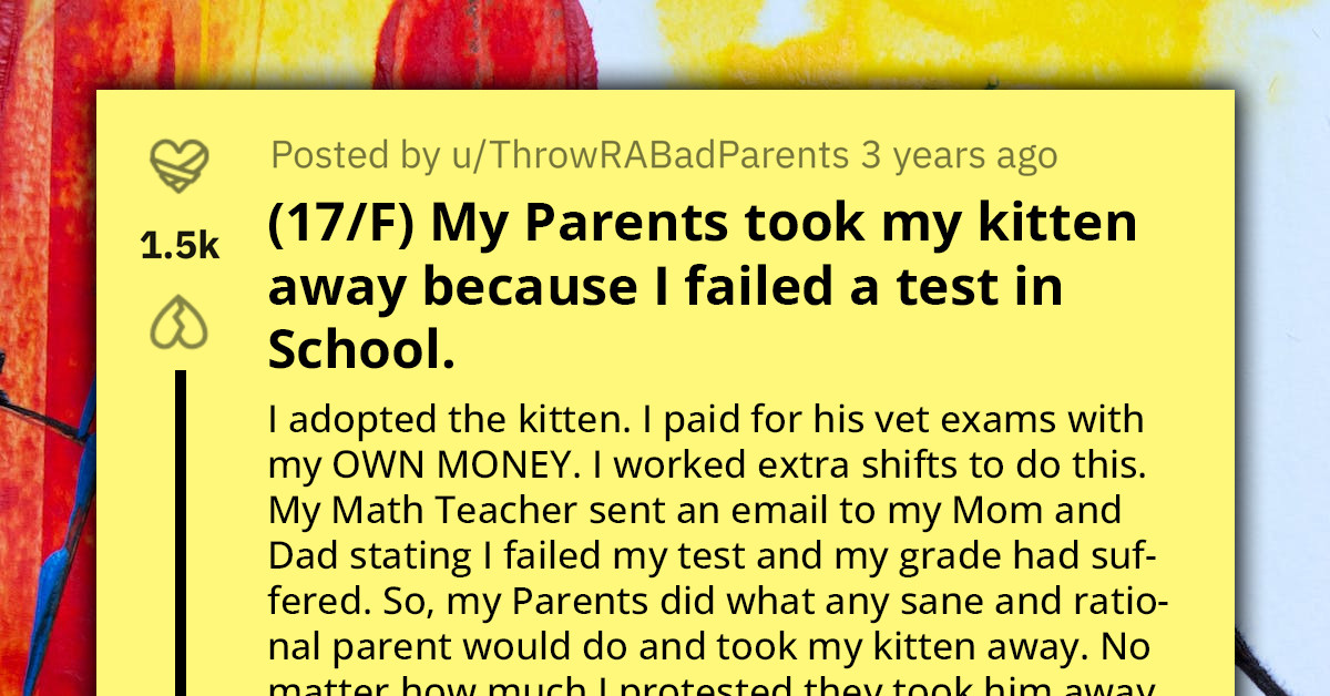 Teen Left In Anguish As Parents Give Away Her Cherished Cat As Punishment For Failing School Test
