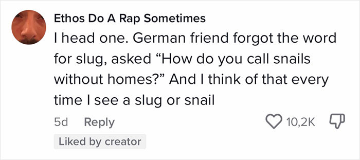 18. Snails without homes