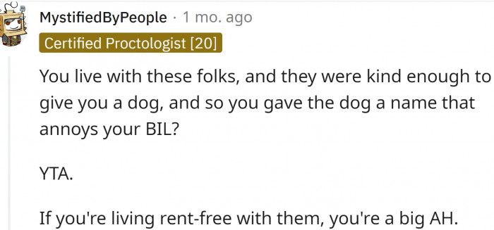 This Redditor had a different opinion: