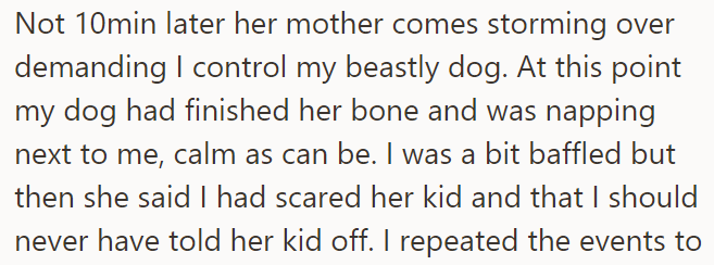 But, Shortly After the Incident, the Girl's Mother Came to Confront the OP