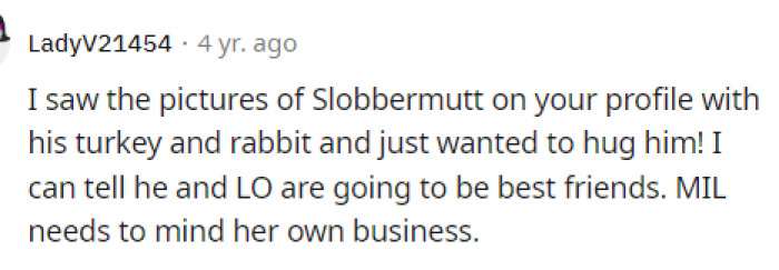 Some people came to the comments to talk about the dog and how adorable it must be. People on Reddit really like dogs.