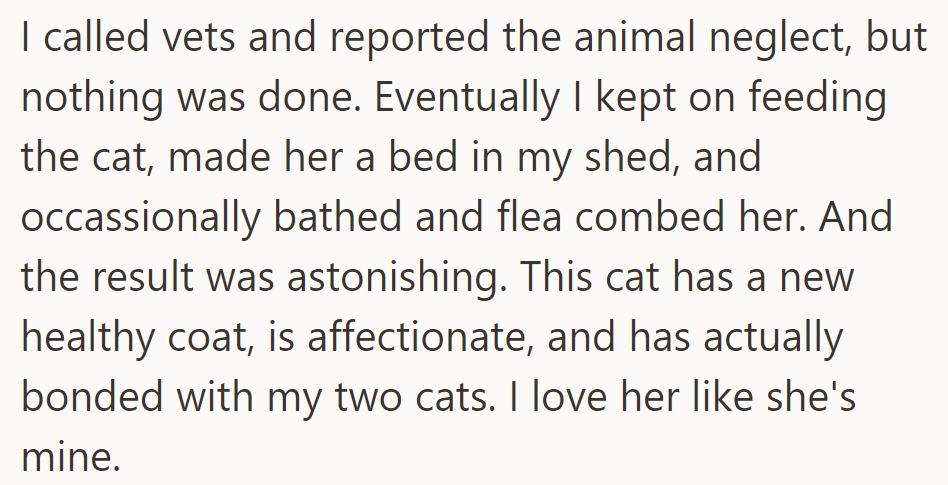 Reported neglect, no action. Cared for the cat, bonded with pets. Now, she's family.