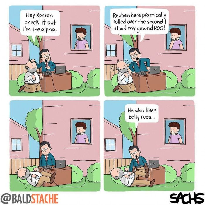 23. What are my eyes actually seeing right now...