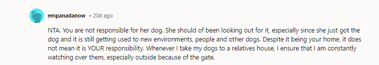 NTA - your sister is at fault and is projecting. 15/10 bet she’s going to ask you to cover the bill, though. Say no. Maybe she’ll learn to watch her dog.
