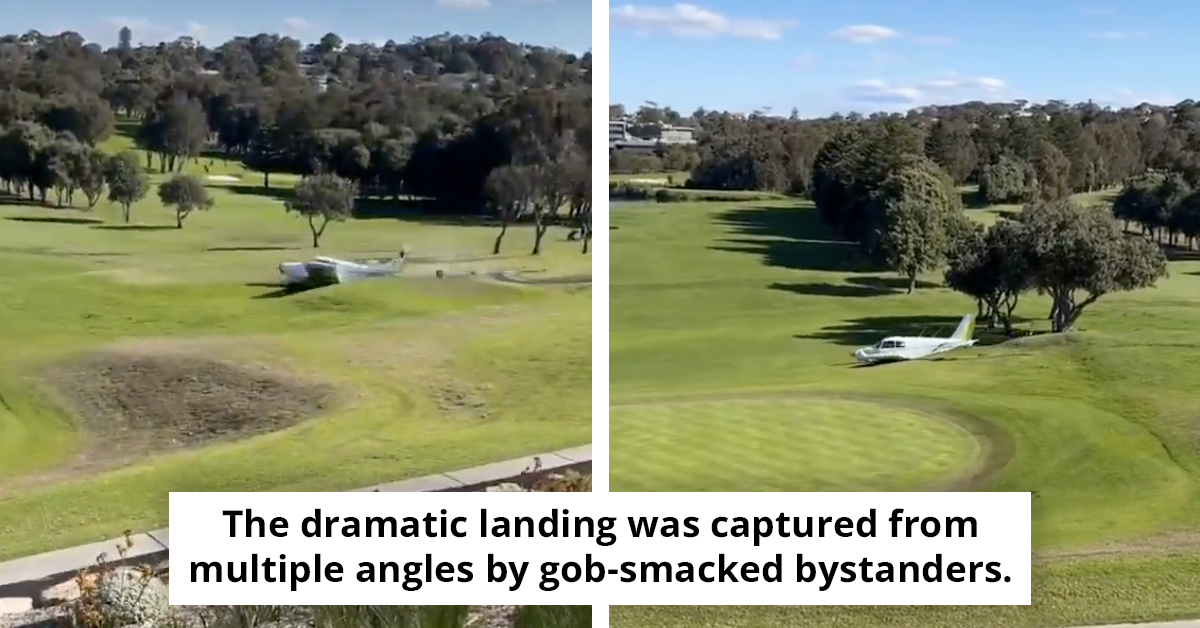 Small Airplane Skids Across Sydney Golf Course in Dramatic Emergency Landing