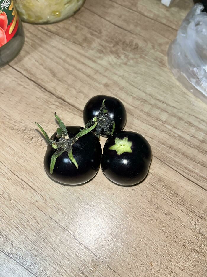"My Grandfather Grew Black Tomatoes"