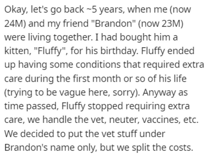 About five years ago, OP lived together with Brandon, and that's when he bought him a kitten