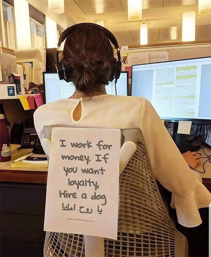 19. Corporate Canines