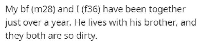 OP's boyfriend lives with his brother, and they're both super messy