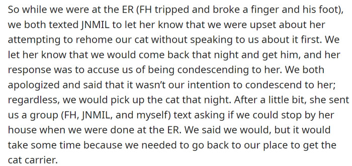 They informed MIL they would go to her house to get a cat: