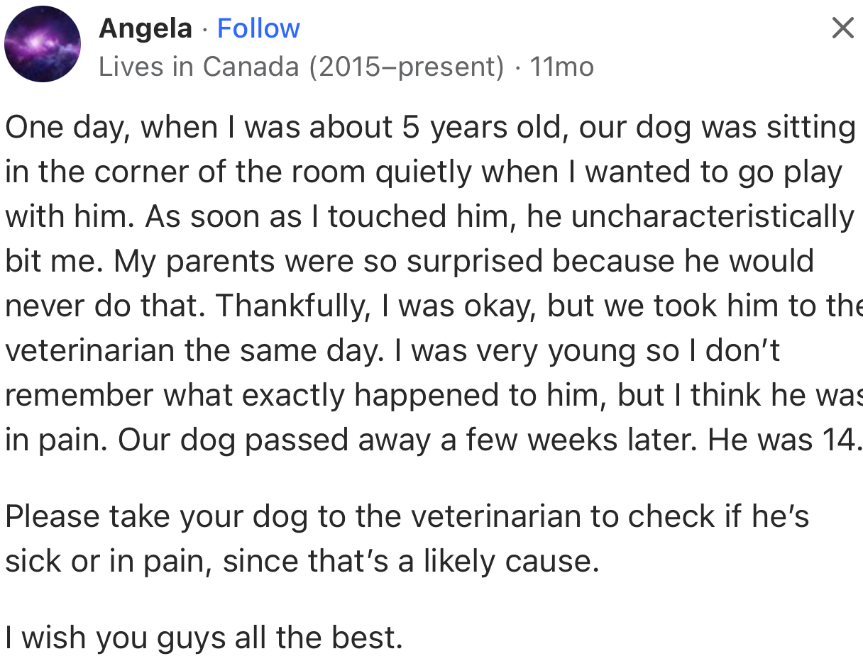 “Please take your dog to the veterinarian to check if he’s sick or in pain, since that’s a likely cause.”