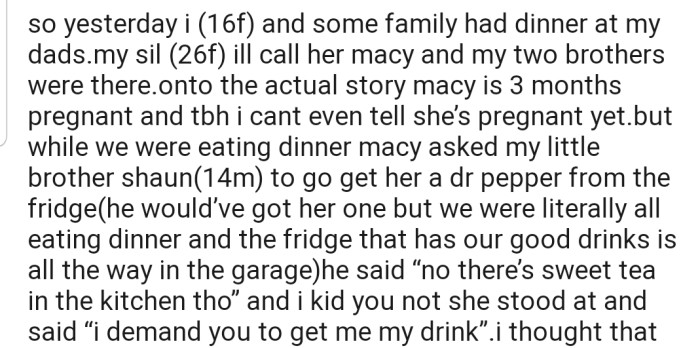 OP explained that her pregnant SIL sent her brother on an errand while they were having dinner, but he refused. The next thing that followed was a stern command, which seemed to take everyone by surprise