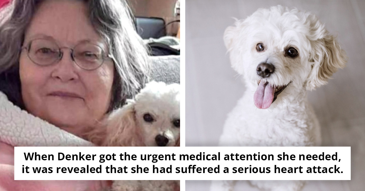 Woman Shares How Dog Rescued Her During Brief Declaration of Death