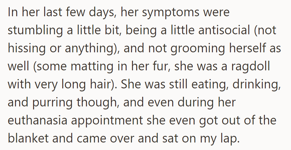 Cheese Stumbled, Groomed Less, and Acted Antisocial Before Euthanasia but Still Ate, Drank, and Purred, Even Sitting on OP's Lap.