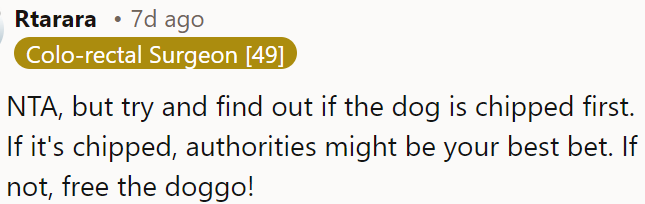 If the dog has a microchip, the best option might be to contact the authorities.