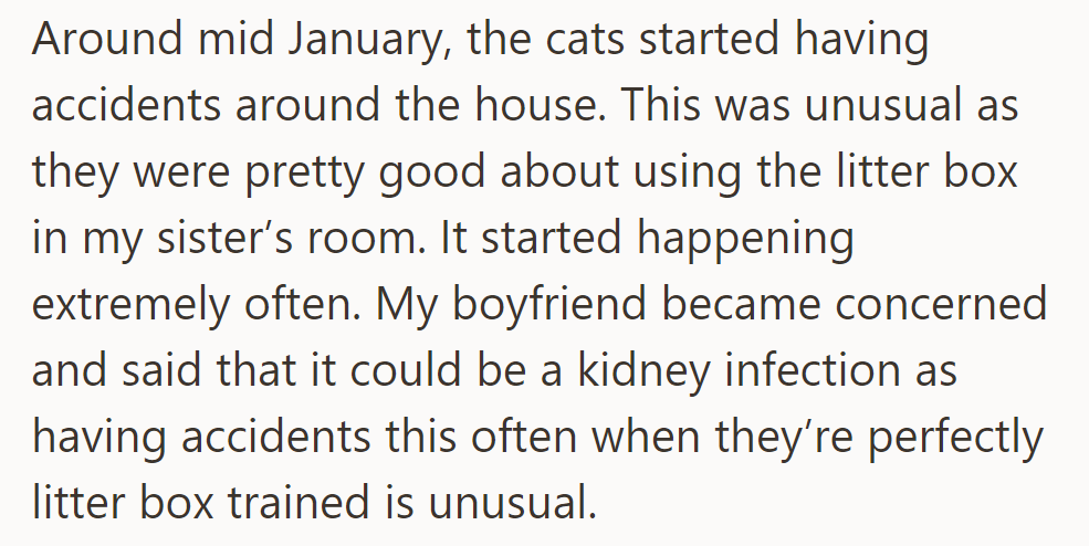 In mid-January, the cats began having frequent accidents, raising concerns about a possible kidney infection.