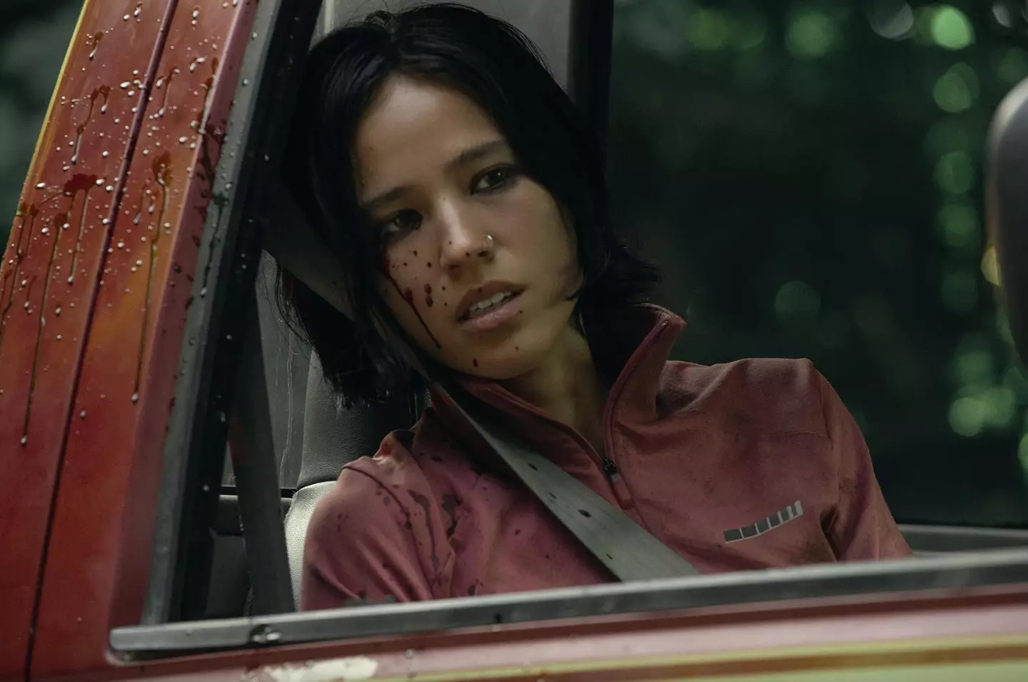 Netflix’s Legacy in Streaming