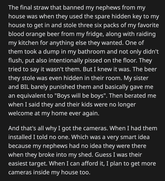 OP's planning on adding more cameras to monitor inside his house, just in case.