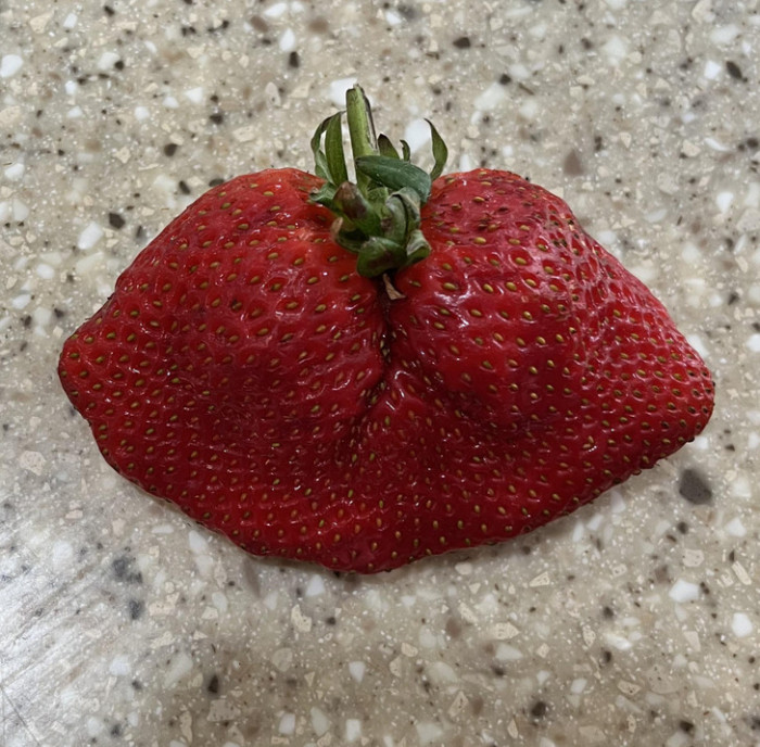 3. These two strawberries got married: