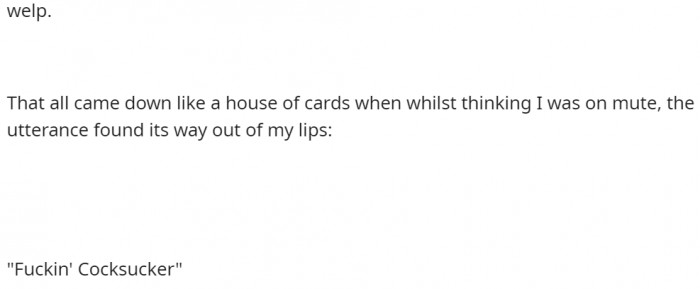 But then he goes on to tell us exactly what he said with his mic on.