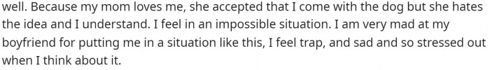 She says she understands where her mom is coming from, and her mom did tell them they could come with the dog.