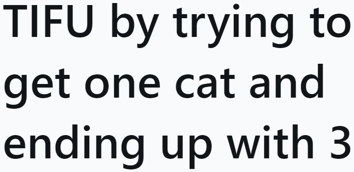 The OP tells the story of how she ended up with three cats when she originally only wanted one.