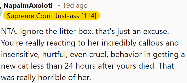 OP is not at fault; her getting a new cat so soon after his cat's death was incredibly insensitive and hurtful.