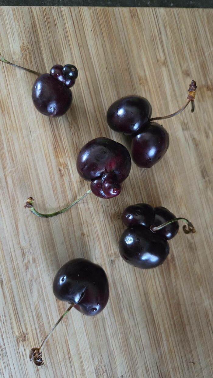 "Some Of The Cherries I Bought Today Looked Like This"