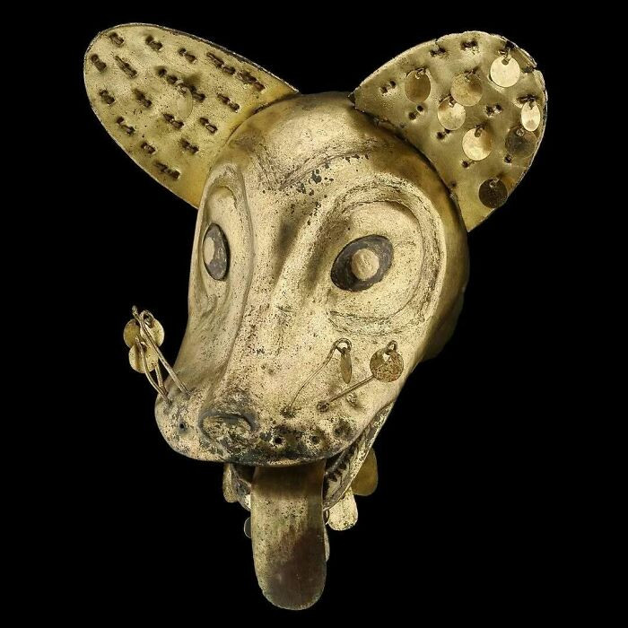 A gilded copper fox head. Huaca de la Luna, Peru - Moche, 1st–3rd century AD.