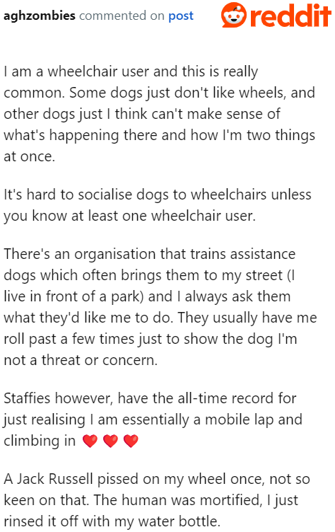 It's quite common for dogs to bark at anything with wheels.